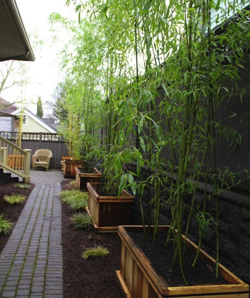 DIY Landscaping: 5 Ways to Bust Out Bamboo