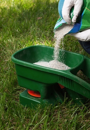 How to Care for Your Lawn This Fall