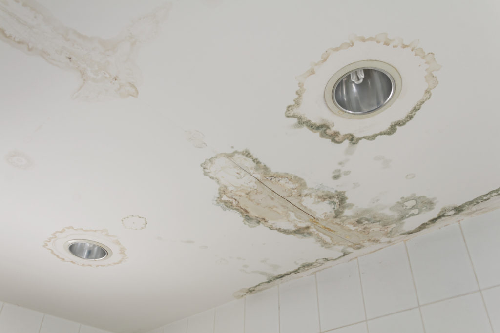 A water-stained ceiling with two light fixtures set in it.