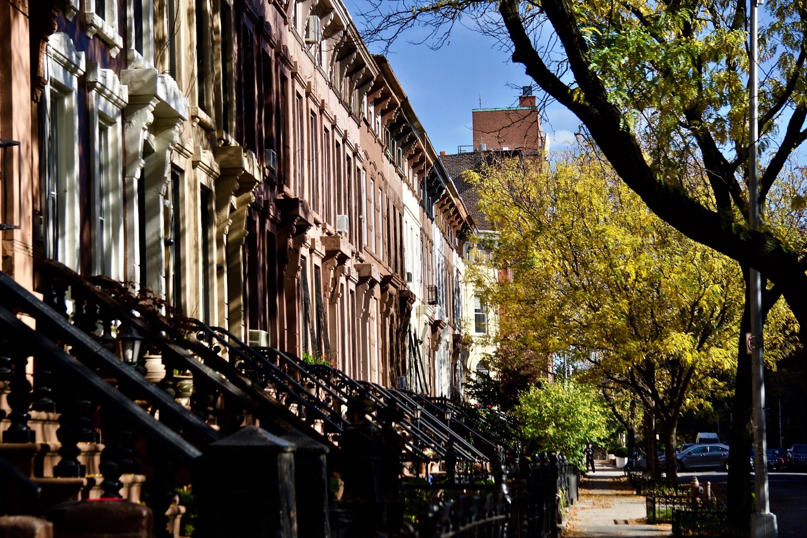 Bed Stuy Living And Renting In Central Brooklyn Naked Apartments