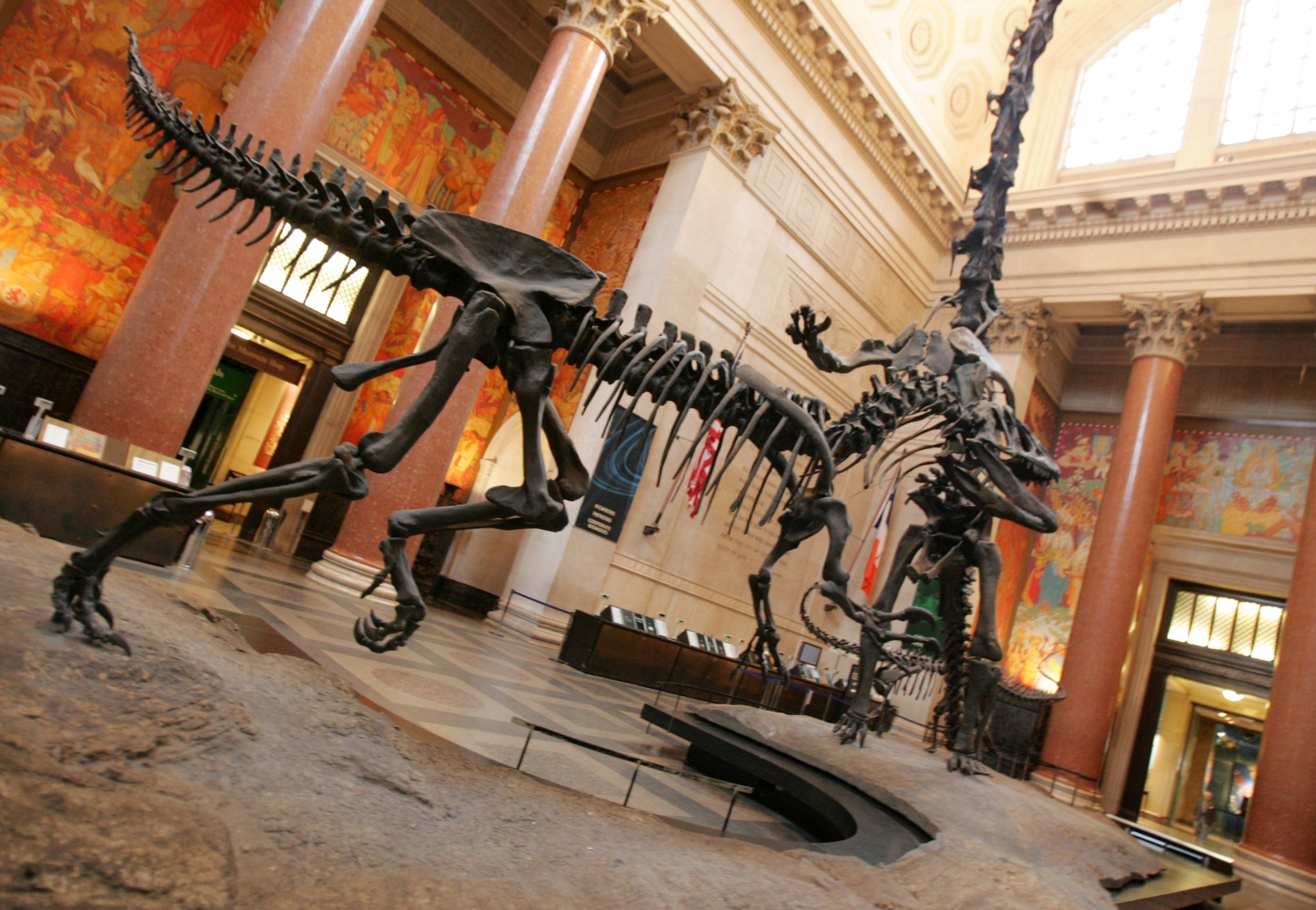 Image of American Museum of Natural History