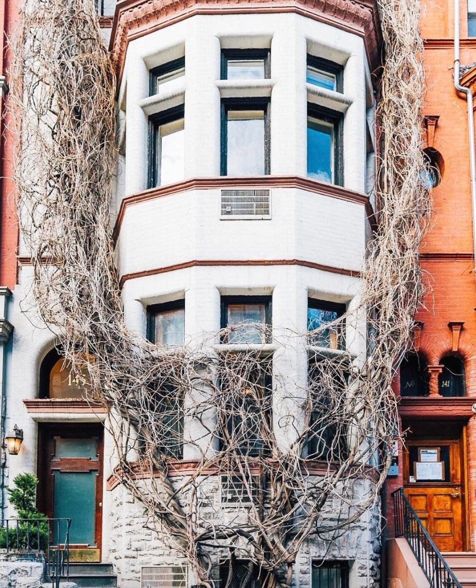 Photo of #streeteasyfinds vine townhouse