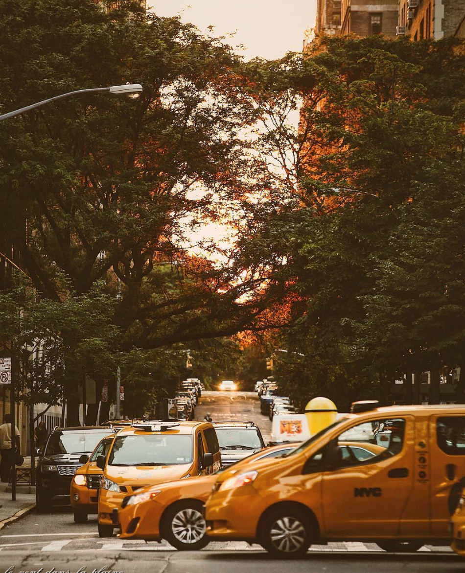 photo of taxicabs on a new york city street