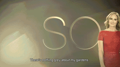 sonja morgan grey gardens