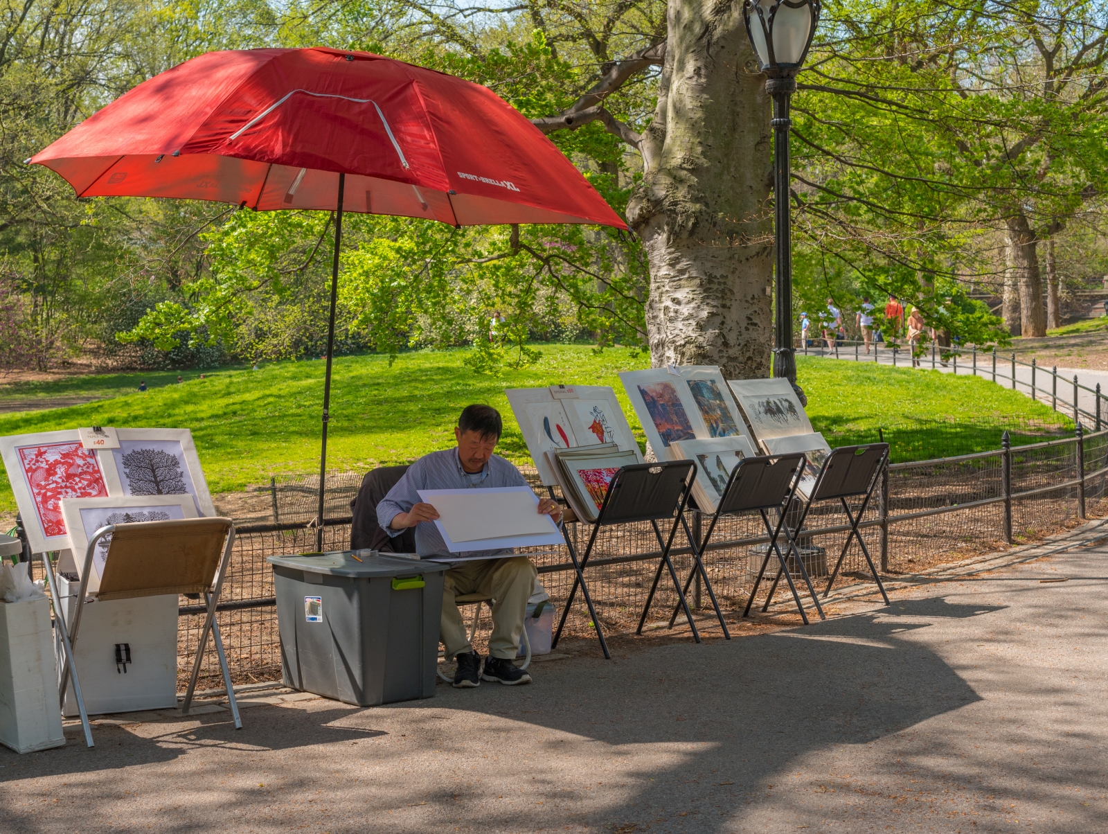 Photo of an artist in Central Park