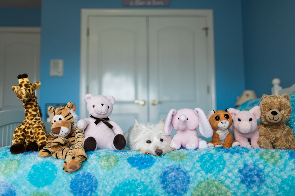 stuffed animals on bed