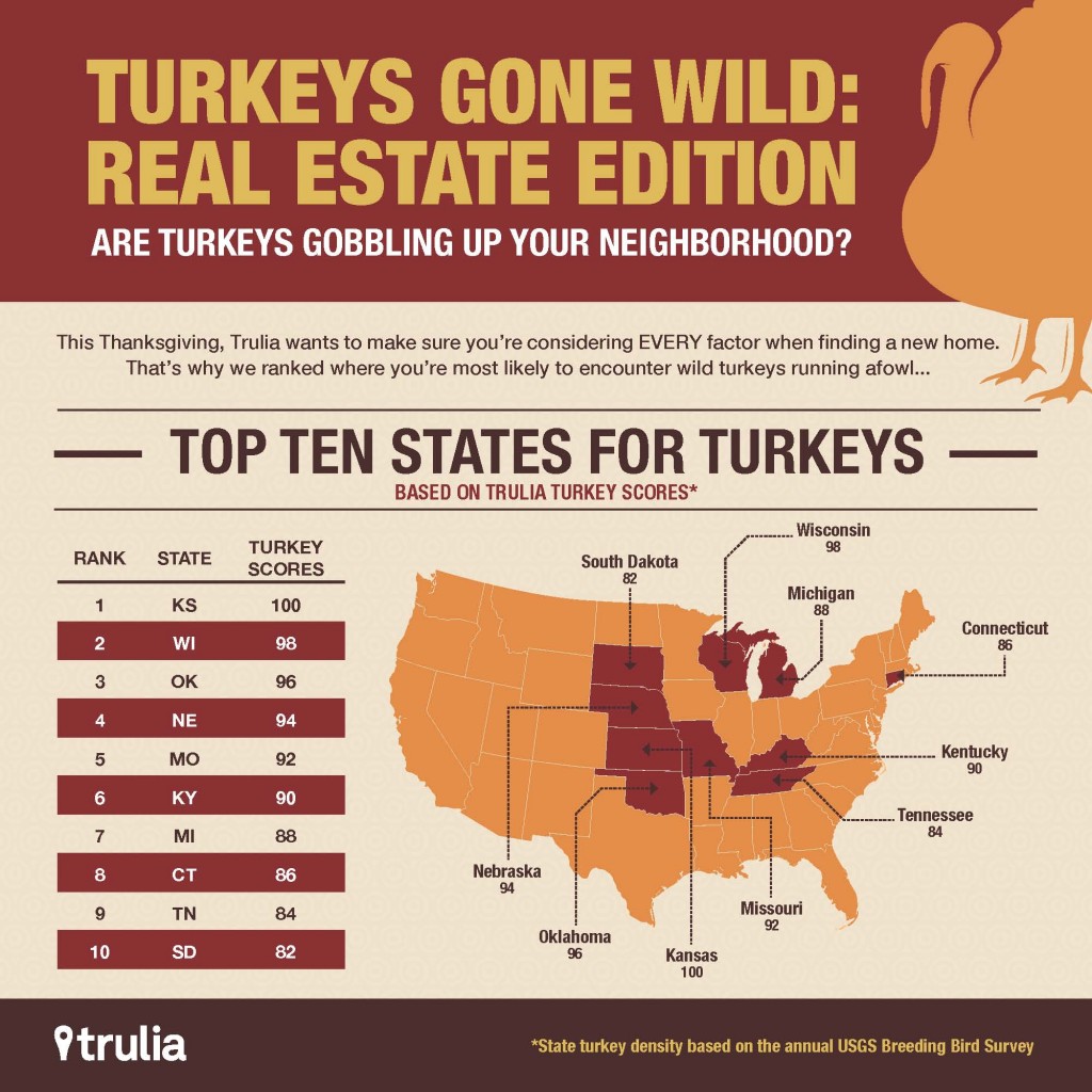 Where Do Wild Turkeys Live? Find out.