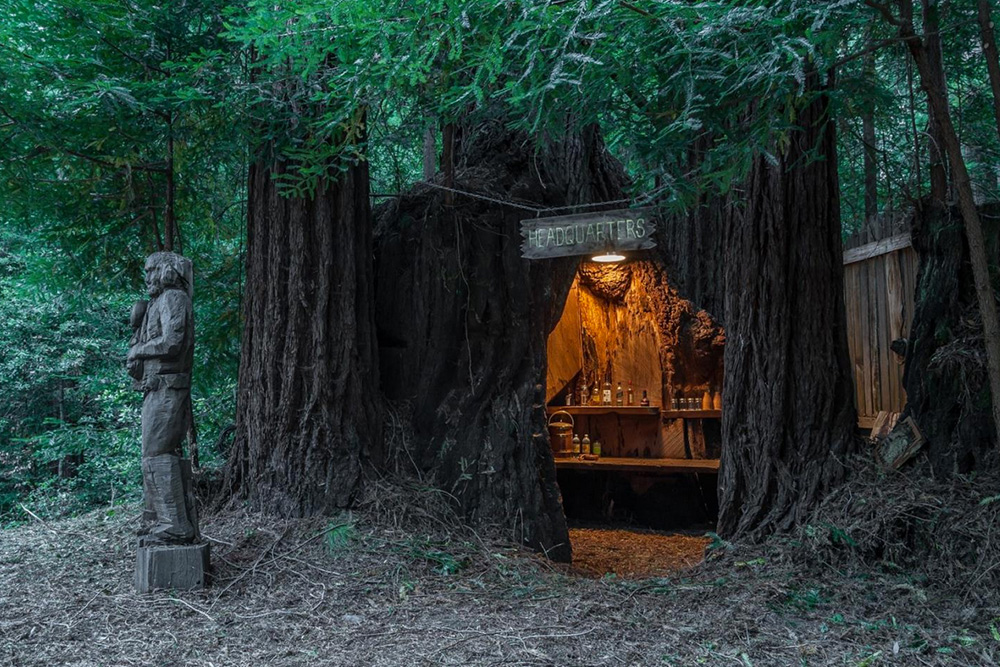 Glamping in California Hollowed out tree trunk