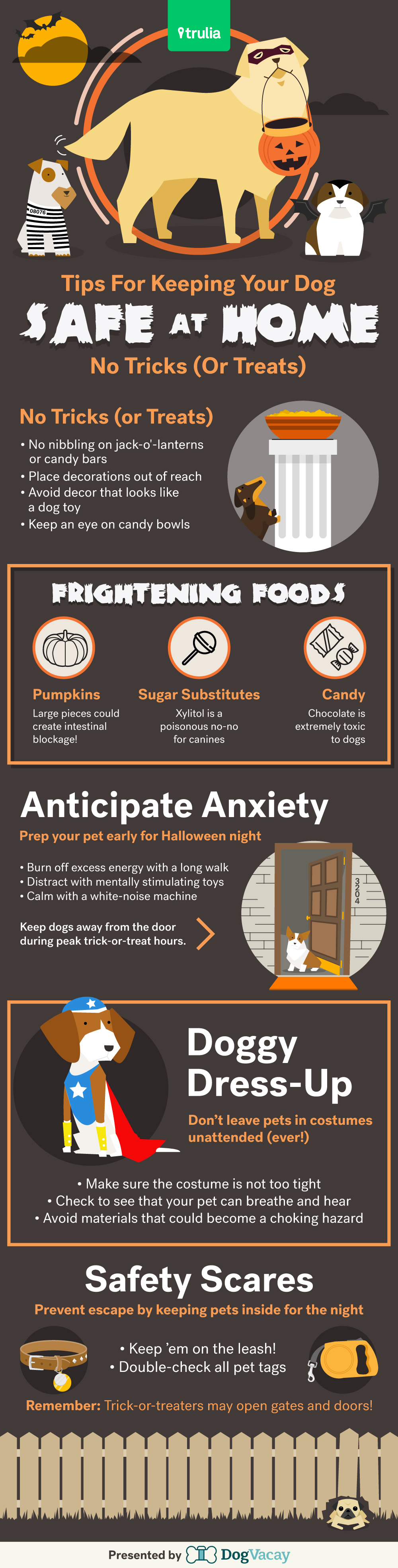 DogVacay halloween safety tips