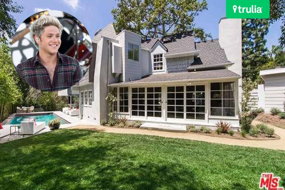 one direction luxury house niall horan